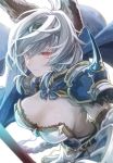 1girl animal_ears armor braid breasts cleavage granblue_fantasy heles highres large_breasts long_hair looking_at_viewer mephist-pheles red_eyes silver_hair solo tiara upper_body wolf_ears 