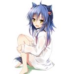  1girl animal_ears blue_hair long_hair naked_shirt open_mouth original shirt simple_background sitting solo tail tsuedzu white_background yellow_eyes 