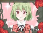  1girl arms_at_sides blush flower framed_image frilled_collar green_hair kazami_yuuka looking_at_viewer pink_background plaid plaid_vest red_eyes red_vest ribbon rose shiny shiny_hair shirt short_hair simple_background smile solo sparkle_background touhou upper_body vines wendell white_shirt 