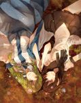  2girls atoki autumn_leaves brown_eyes brown_hair frog_hair_ornament green_eyes green_hair hair_ornament hands_together hat highres kochiya_sanae long_hair long_sleeves lying multiple_girls on_back on_ground open_mouth puffy_short_sleeves puffy_sleeves shameimaru_aya shirt short_sleeves skirt smile snake_hair_ornament tokin_hat touhou upside-down very_long_hair wide_sleeves 