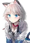  1girl all_fours animal_ears blue_eyes blush braid breasts cat_ears cat_tail cleavage collar dog_collar fish geppewi hair_ribbon izayoi_sakuya kemonomimi_mode looking_at_viewer maid_headdress out_of_frame ribbon short_hair silver_hair solo tail touhou tress_ribbon twin_braids 