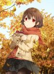  1girl autumn black_hair leaf original pantyhose piisu red_eyes scarf short_hair solo 