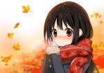  1girl autumn autumn_leaves black_hair brown_eyes coat long_hair long_sleeves looking_at_viewer original ragho_no_erika scarf smile solo sweater 