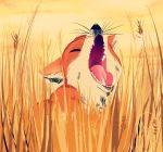 animal closed_eyes commentary fangs fox highres mad_ryouko nature no_humans open_mouth orange_sky original outdoors sitting wheat wheat_field whiskers yawning 
