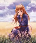  animal_ears brown_hair cloud clouds face fang field holo horo lasterk long_hair red_eyes sky spice_and_wolf wheat wolf_ears 