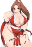  &gt;:) 1girl big_belly blush breasts brown_hair cleavage contrapposto fat fat_folds hand_on_hip highres huge_breasts kurokaze_no_sora long_hair no_panties obese pelvic_curtain ponytail revealing_clothes shiranui_mai smile solo the_king_of_fighters thick_thighs thighs 
