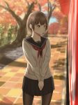  1girl autumn brown_eyes brown_hair collarbone hands_clasped highres looking_to_the_side minagiku outdoors pantyhose pavement school_uniform short_hair standing tree 