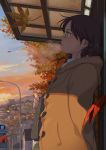  1girl absurdres autumn braid brown_hair bus bus_stop city cityscape clouds coat freckles glasses highres hood isai_shizuka leaf long_hair maple_leaf motor_vehicle mountain parted_lips sky solo sunset town vehicle 
