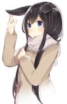  1girl animal_ears ao_no_neko bangs black_hair blue_eyes blush buttons chestnut_mouth coat long_hair long_sleeves original pom_pom_(clothes) rabbit_ears scarf simple_background solo sweatdrop touching_ears upper_body white_background 