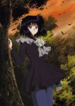  1girl absurdres bishoujo_senshi_sailor_moon black_hair black_skirt blue_legwear book cowboy_shot expressionless flower highres hino_ryutaro leaf pantyhose shawl short_hair skirt solo tomoe_hotaru tree violet_eyes 