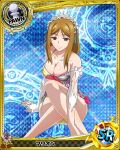  1girl apron artist_request brown_eyes brown_hair card_(medium) character_name chess_piece dress gloves high_school_dxd marion_(high_school_dxd) official_art pawn solo torn_clothes trading_card underwear 