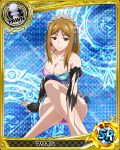  1girl apron artist_request brown_eyes brown_hair card_(medium) character_name chess_piece dress gloves high_school_dxd marion_(high_school_dxd) official_art pawn solo torn_clothes trading_card underwear 