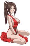  breasts brown_eyes brown_hair chinadress curvy dress king_of_fighters large_breasts long_hair lowres no_panties ponytail red_dress shiranui_mai side_slit sideboob simple_background snk toeless_socks 