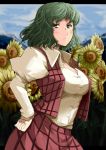  1girl arched_back blue_sky blurry blush breasts clouds collared_shirt cowboy_shot day depth_of_field flower garden_of_the_sun green_eyes green_hair hand_on_hip highres hips kazami_yuuka large_breasts letterboxed light_frown long_sleeves looking_at_viewer mountain open_clothes open_collar open_vest plaid plaid_skirt plaid_vest shirt short_hair skirt sky solo standing sunflower tenko_(gintenko) touhou vest wavy_hair white_shirt wind 