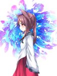  1girl alternate_hairstyle animal_ears blush brooch brown_hair dress highres imaizumi_kagerou jewelry long_hair long_sleeves looking_at_viewer looking_to_the_side miki_yanagi ponytail red_eyes solo touhou wide_sleeves wolf_ears 