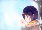  1girl black_hair blue_eyes long_hair original scarf snowing solo yan_(nicknikg) 