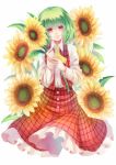  1girl ascot flower green_hair kazami_yuuka ling_(vivianling) long_sleeves looking_at_viewer open_clothes open_vest plaid plaid_skirt plaid_vest red_eyes shirt skirt skirt_set smile solo sunflower touhou vest 