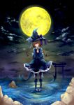  1girl dress full_moon hat moon ocean solo witch_hat 