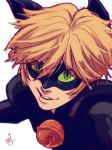  1boy adrien_agreste chat_noir fangs green_eyes highres male_focus miraculous_ladybug signature smile white_background 