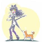  1girl ? black_hair blake_belladonna bow cat_tail dog hair_bow iesupa pulling rwby spoken_question_mark tail welsh_corgi yellow_eyes 