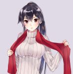  1girl black_hair breasts hair_between_eyes ichinomiya_(blantte) kantai_collection long_hair looking_at_viewer parted_lips ponytail red_eyes red_scarf ribbed_sweater scarf sidelocks solo sweater turtleneck upper_body very_long_hair yahagi_(kantai_collection) 