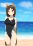  1girl animal_ears brown_eyes brown_hair competition_swimsuit dog_ears hachimitsu-b kadomaru_misa one-piece_swimsuit short_hair standing strike_witches swimsuit 
