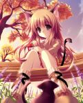  bow brown_eyes brown_hair cat flower food knee_highs long_hair nekomimi pocky shoes skirt tail 