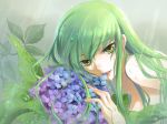  1girl bare_shoulders bust c.c. cc close-up code_geass face fingernails flower green_hair hydrangea isumimax lips long_hair rain solo topless wet yellow_eyes 