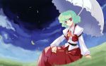 green_hair kazami_yuuka short_hair sitting skirt skirt_set tokiame touhou umbrella vector