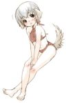  barefeet barefoot bikini blue_hair blush brown_eyes dog_ears doggirl feet grey_hair halter_neck inuburo inumimi legs_folded loli lowres short_hair silver_hair swimsuit tail yellow_eyes 