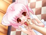   bell blush catgirl icing licking loli nekomimi pink_hair pink_ribbon red_eyes sucking white_dress  