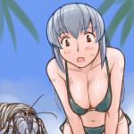  bikini breasts cleavage crustacean hermit_crab large_breasts lowres rozen_maiden rozenweapon silver_hair solo suigintou swimsuit 