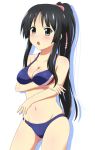  1girl akiyama_mio bikini black_eyes black_hair k-on! long_hair nangokushirokuma ponytail standing swimsuit 
