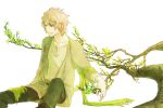  1boy blonde_hair branch cardigan full_body green ha.skr_(hasukara) highres looking_away original scarf sitting smile solo 