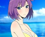  1girl bakemonogatari blue_eyes blush breasts cleavage j_adsen monogatari_(series) purple_hair senjougahara_hitagi short_hair solo 