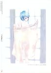 1girl absurdres artbook ayanami_rei blue_hair highres naked_towel neon_genesis_evangelion official_art red_eyes see-through towel 