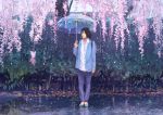  1girl backpack bag black_hair cherry_blossoms collarbone gemi leaf looking_to_the_side pants rain shirt short_hair smile solo standing tree umbrella 