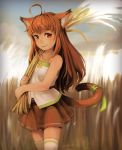  1girl animal_ears blush brown_hair cat cat_ears cat_tail highres long_hair looking_at_viewer original red_eyes segamark smile solo tail wheat 