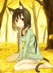  1girl animal_ears autumn autumn_leaves bangs bare_legs bare_shoulders barefoot bell bell_collar black_hair bottomless breasts brown_eyes cat_ears cat_tail cleavage collar from_side full_body hair_between_eyes kimura_(ykimu) light_smile long_hair looking_at_viewer low-tied_long_hair off_shoulder original outdoors sitting sleeves_past_wrists solo sweater tail tareme tree wariza 