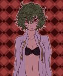  1girl argyle argyle_background aura bangs black_bra bra breasts cleavage collarbone collared_shirt colored_eyelashes green_hair hair_between_eyes head_tilt kazami_yuuka long_sleeves looking_at_viewer messy_hair miata_(pixiv) neck necktie open_clothes open_shirt outline parted_lips red_background red_eyes shirt short_hair slit_pupils solo teeth touhou underwear undone_necktie upper_body wavy_hair white_shirt 