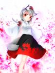  animal_ears bare_shoulders detached_sleeves hat highres inubashiri_momiji looking_at_viewer pom_pom_(clothes) red_eyes short_hair silver_hair sword tail tokin_hat touhou weapon wide_sleeves wolf_ears wolf_tail 