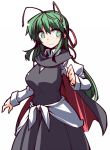  1girl alternate_hair_length alternate_hairstyle antennae cape commentary_request green_eyes green_hair hemogurobin_a1c long_hair older smile solo touhou wriggle_nightbug 