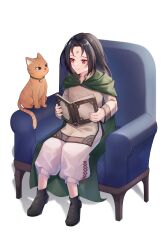  absurdres aged_down black_hair book brown_eyes cape cat chair child collar commission facial_mark fire_emblem fire_emblem:_path_of_radiance fire_emblem:_radiant_dawn fire_emblem_heroes forehead_mark green_cape green_collar highres holding holding_book looking_at_another on_chair orange_cat orange_tail red_eyes sitting smile soren_(fire_emblem) soren_(hushed_voice)_(fire_emblem) whiskers white_background witchi 