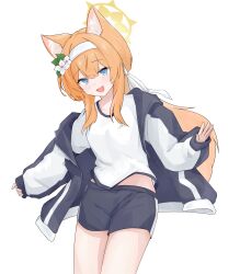  1girl absurdres animal_ear_fluff animal_ears black_jacket black_shorts blue_archive blue_eyes blush byomssui cat_ears collarbone cowboy_shot fang flower gym_shirt gym_shorts gym_uniform hair_between_eyes hair_flower hair_ornament hairband halo highres jacket long_hair long_sleeves looking_at_viewer mari_(blue_archive) mari_(track)_(blue_archive) multicolored_jacket official_alternate_costume open_clothes open_jacket open_mouth orange_hair shirt shorts simple_background skin_fang smile solo track_jacket two-tone_jacket white_background white_flower white_hairband white_shirt yellow_halo 