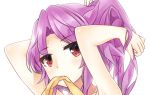  1girl clothes_in_mouth commentary_request fuente hand_in_hair looking_at_viewer ponytail purple_hair red_eyes solo touhou upper_body watatsuki_no_yorihime 