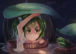  1girl bucket dao_sui_de_jiemo eyebrows frog green_eyes green_hair kisume lily_pad long_sleeves multicolored_hair pout reflection rock see-through shiny shiny_hair short_hair solo touhou two-tone_hair water well wet 