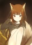  1girl animal_ears bangs between_legs blunt_bangs bottomless brown_background brown_hair hand_in_hair hips holo long_hair looking_at_viewer lp_(hamasa00) midriff no_panties red_eyes shirt_lift sidelocks simple_background smile solo spice_and_wolf tail tail_between_legs thighs tsurime very_long_hair wolf_ears wolf_tail 