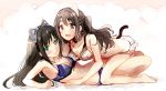  2girls animal_ears bra brown_hair cat_ears cat_lingerie cat_tail green_eyes idolmaster idolmaster_cinderella_girls long_hair multiple_girls nagiriku912 one_side_up panties shibuya_rin shimamura_uzuki tail underwear underwear_only 