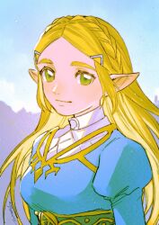  1girl absurdres blonde_hair blue_background blue_shirt braid closed_mouth commentary_request crown_braid green_eyes highres juliet_sleeves long_hair long_sleeves looking_at_viewer mouyi pointy_ears princess_zelda puffy_sleeves shirt solo the_legend_of_zelda the_legend_of_zelda:_breath_of_the_wild upper_body 