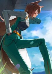  1girl animal_ears belt black_choker black_gloves blue_sky blurry blurry_background breasts brown_belt brown_hair choker day ear_ornament feet_out_of_frame gloves grass green_pants grin hair_between_eyes hand_in_pocket highres horse_ears horse_girl horse_tail knee_up lens_flare long_hair long_sleeves multicolored_hair no_842 pants pendant_choker red_eyes sirius_symboli_(feroce)_(umamusume) sirius_symboli_(umamusume) sky smile solo streaked_hair tail umamusume wallet_chain white_hair 